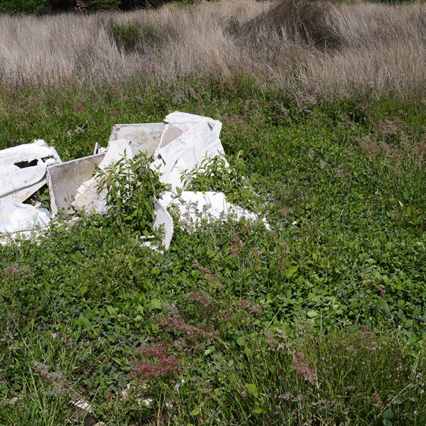 ESCULTURA 2C